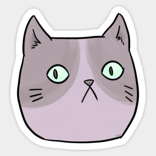 Looking Cat Sticker